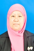 Prof. Dr. Siti Thomas Zulaikhah, SKM., M.Kes